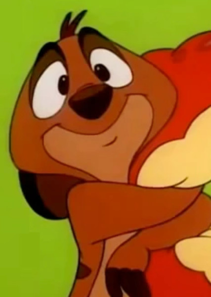 Timon photo