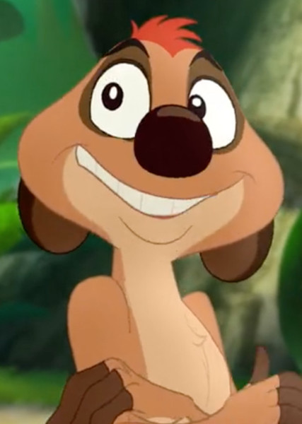 Timon photo