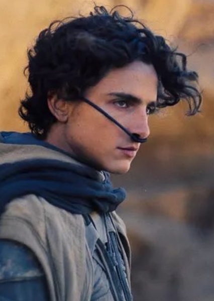 Timothée Chalamet photo