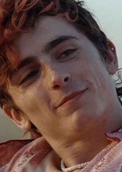 Timothée Chalamet photo