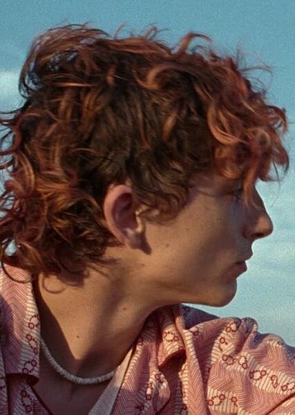Timothée Chalamet photo