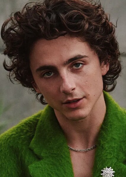 Timothée Chalamet photo