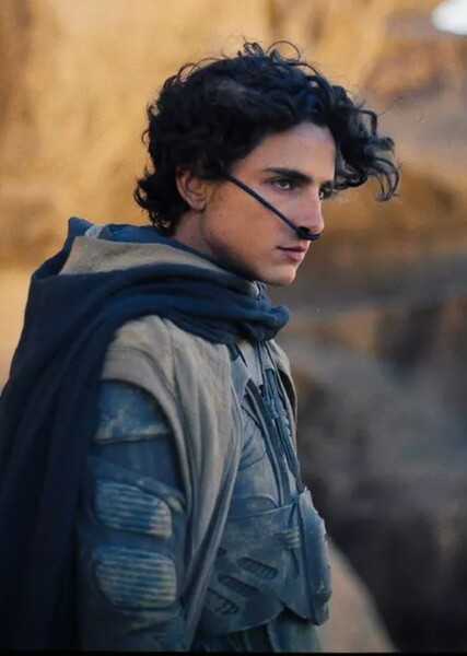 Timothée Chalamet photo