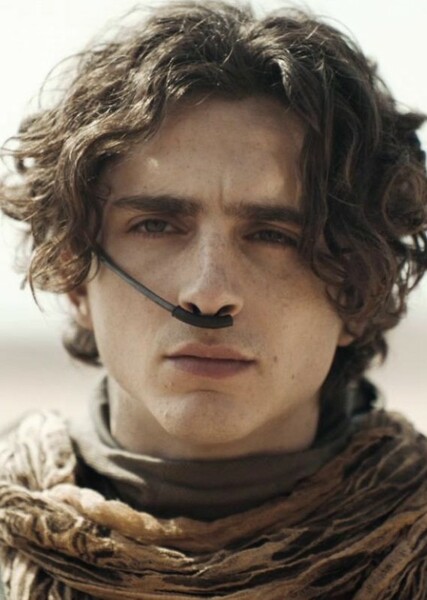 Timothée Chalamet photo