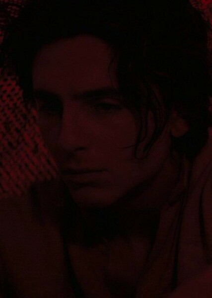 Timothée Chalamet photo