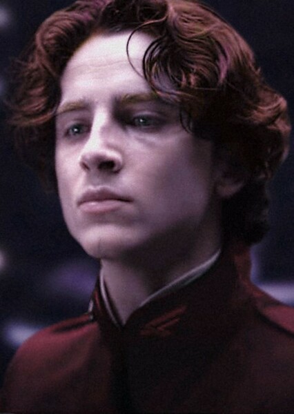 Timothée Chalamet photo
