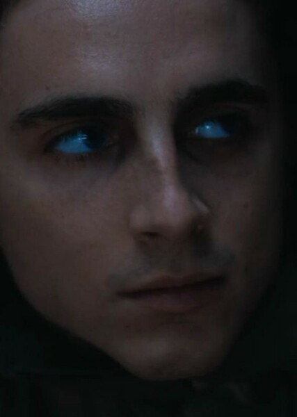 Timothée Chalamet photo