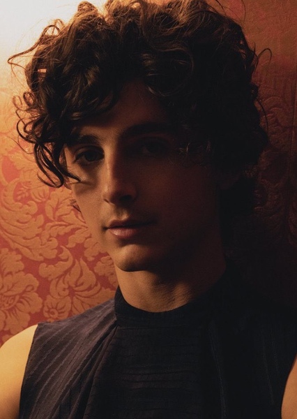 Timothée Chalamet photo