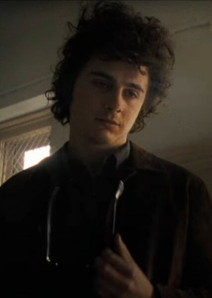 Timothée Chalamet photo
