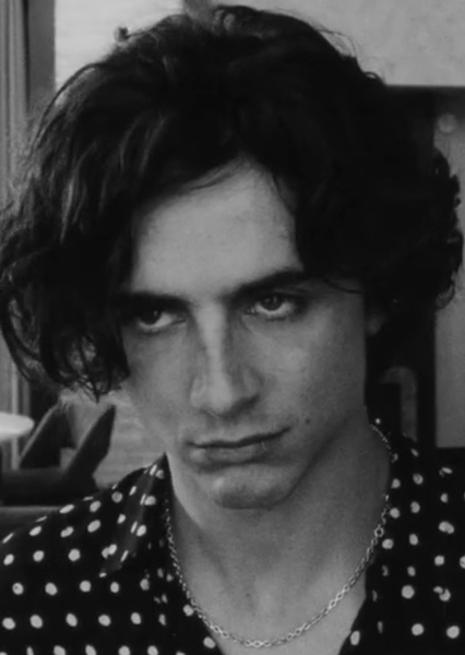 Timothée Chalamet photo