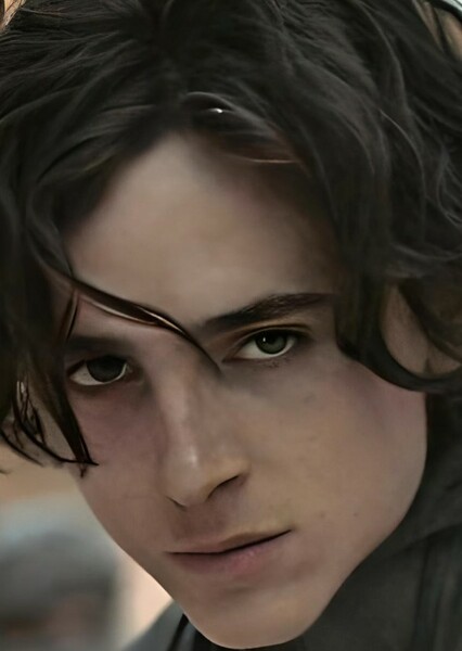 Timothée Chalamet photo