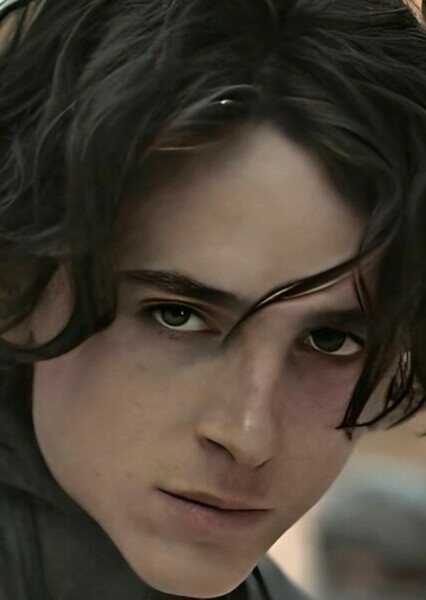 Timothée Chalamet photo
