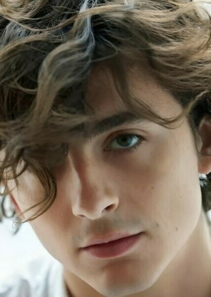 Timothée Chalamet photo