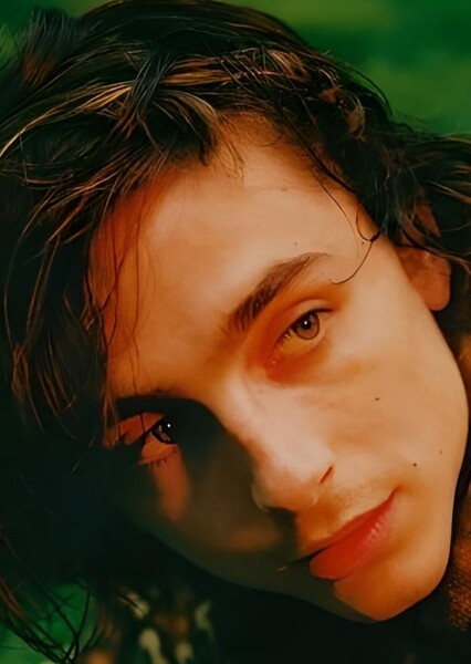 Timothée Chalamet photo