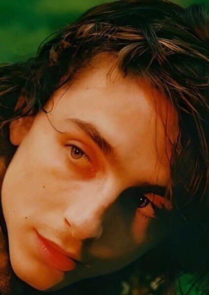 Timothée Chalamet photo