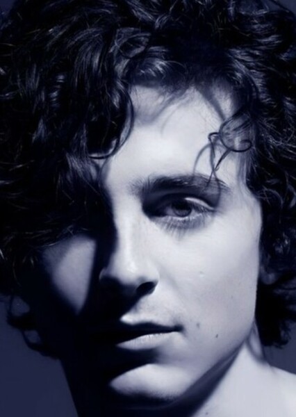 Timothée Chalamet photo