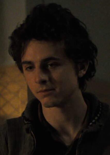 Timothée Chalamet photo