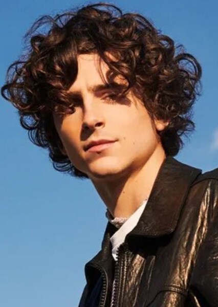 Timothée Chalamet photo