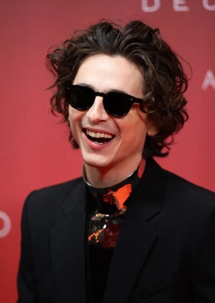 Timothée Chalamet photo