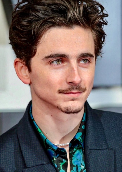 Timothée Chalamet photo