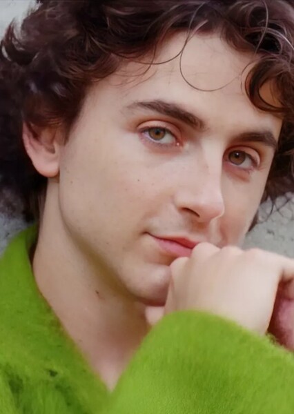 Timothée Chalamet photo