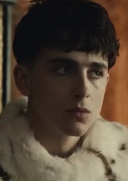 Timothée Chalamet photo