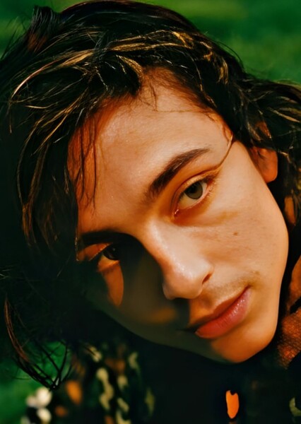 Timothée Chalamet photo
