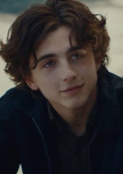 Timothée Chalamet photo