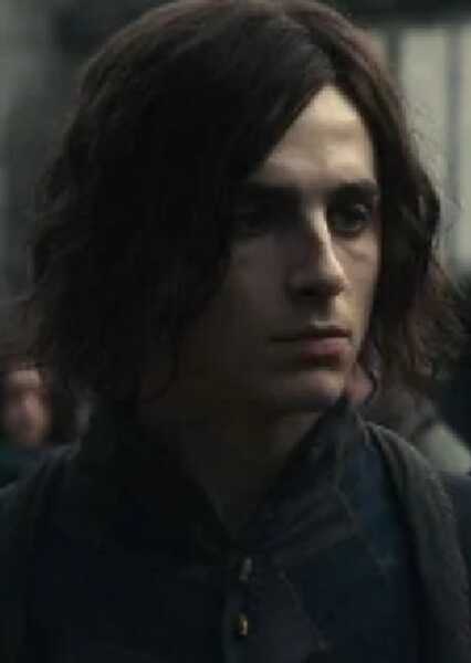 Timothée Chalamet photo