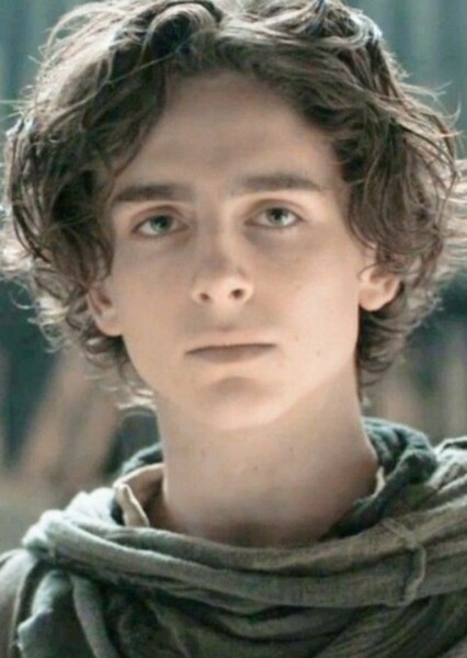 Timothée Chalamet photo