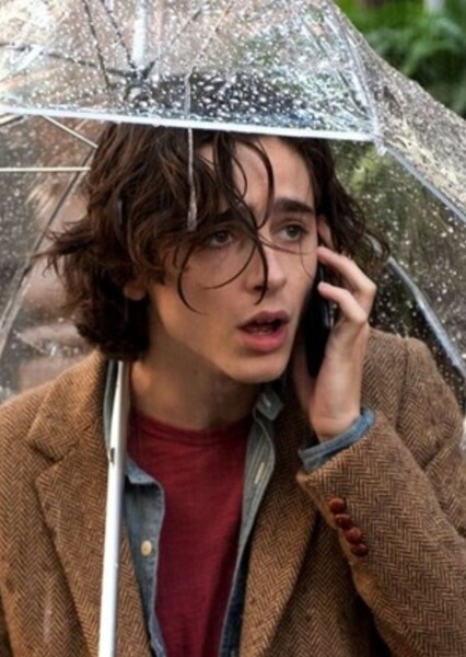 Timothée Chalamet photo