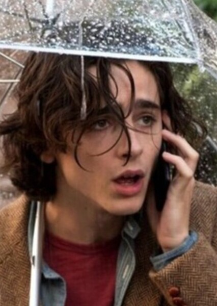 Timothée Chalamet photo