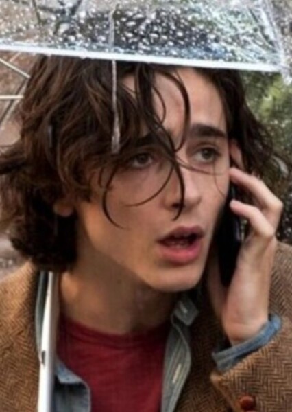 Timothée Chalamet photo
