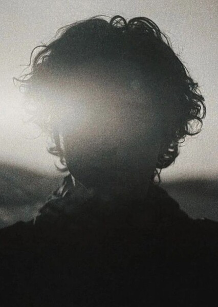 Timothée Chalamet photo