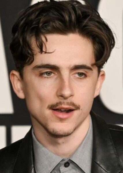 Timothée Chalamet photo