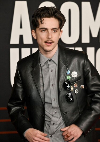 Timothée Chalamet photo