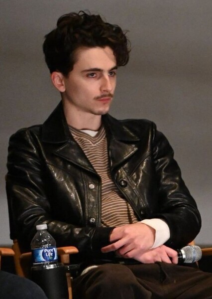 Timothée Chalamet photo