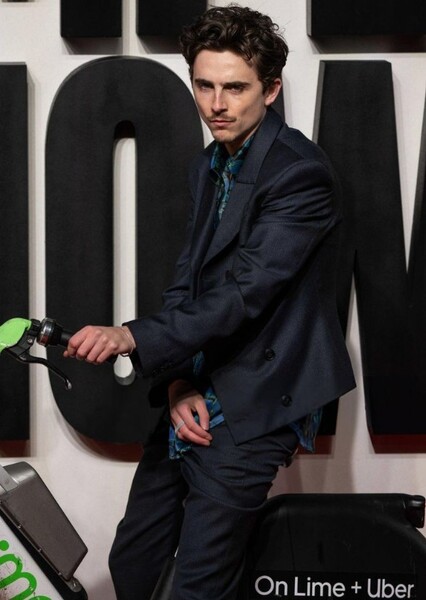 Timothée Chalamet photo