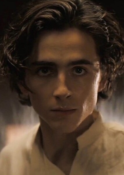 Timothée Chalamet photo