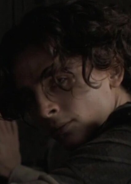 Timothée Chalamet photo