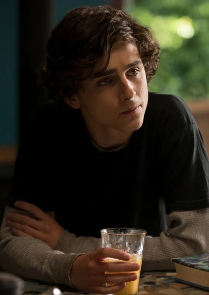Timothée Chalamet photo