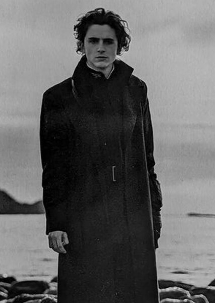 Timothée Chalamet photo