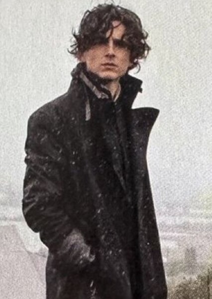 Timothée Chalamet photo
