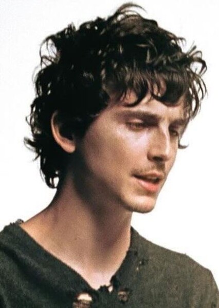 Timothée Chalamet photo