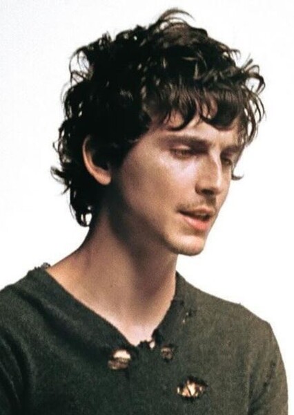 Timothée Chalamet photo