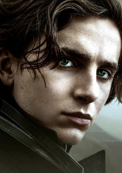 Timothée Chalamet photo