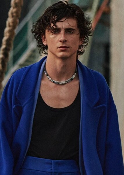 Timothée Chalamet photo