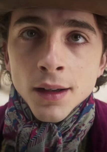 Timothée Chalamet photo