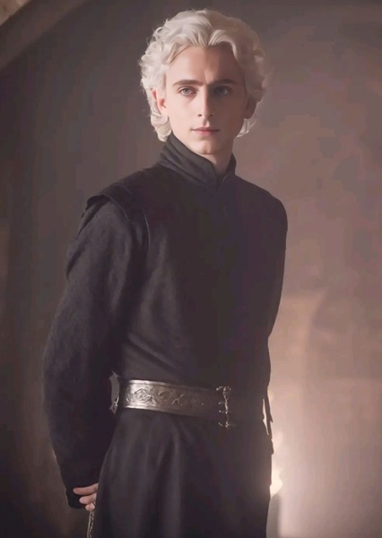 Timothée Chalamet photo