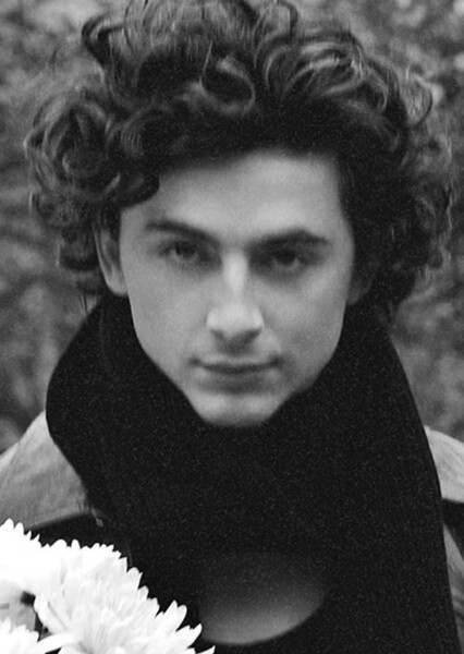 Timothée Chalamet photo